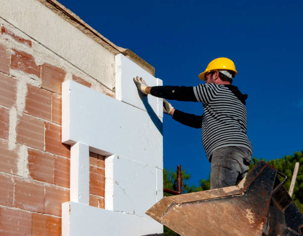 Best Home Insulation Services  in Willow Park, TX