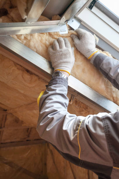 Best Garage Insulation Installation  in Willow Park, TX