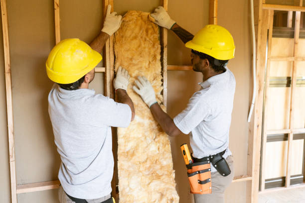 Best Professional Insulation Contractor  in Willow Park, TX