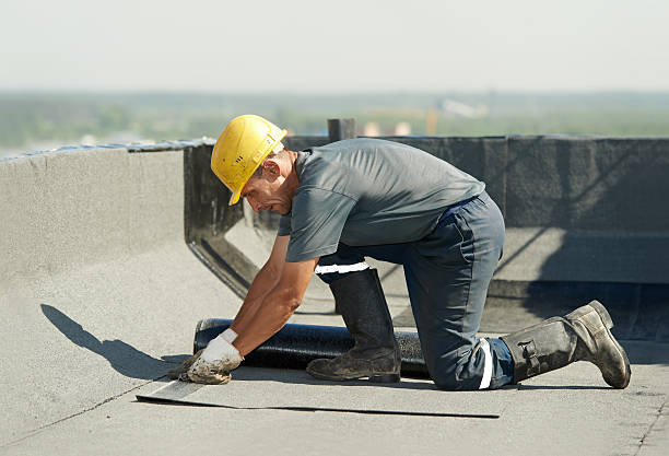 Best Attic Insulation Near Me  in Willow Park, TX