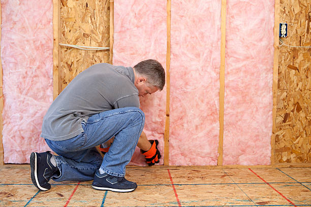 Best Insulation for New Construction  in Willow Park, TX